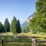 Wandern zur Malga Kraun