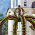 Apfelkrone Traubenfest Meran