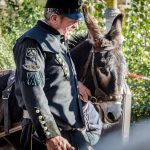 Parade Traubenfest Meran