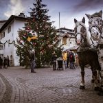 Weihnachtsmarkt Neumarkt