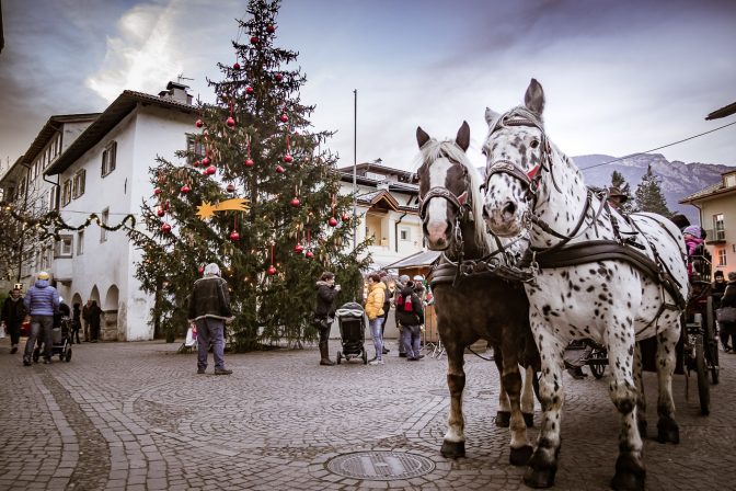 Kutschengespann auf dem Weihnachtsmarkt in Neumarkt