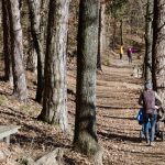 Spazieren im Montiggler Wald