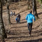 Jogging im Montiggler Wald