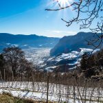 Blick auf Penon mit Hofstatt