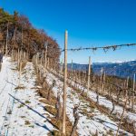 Graun im Winter – Blick zum Schlern