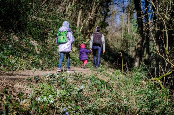 Für einen Spaziergang mit der ganzen Familie ist das Frühlingstal genau das Richtige.