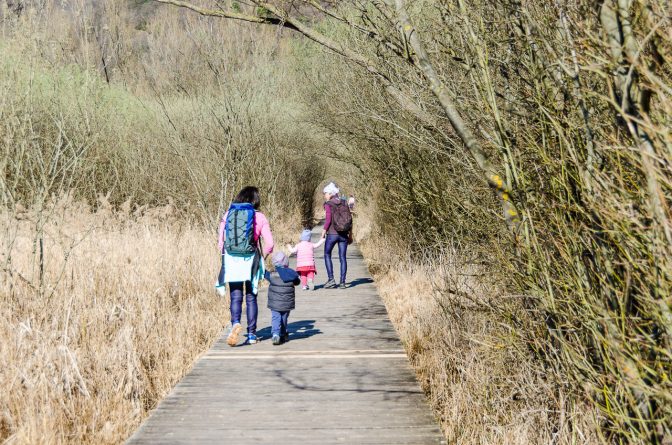 Im Biotop des Seerundwanderweges Kalterer See