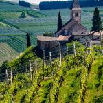 St. Jakob Kirchlein mit Weinberge