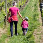 Weinwandertag