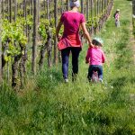 Weinwandertag