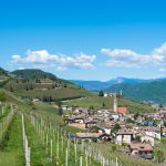 Tramin im Frühling