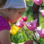 Anna und die Tulpen