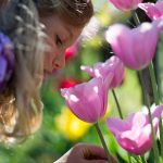 Anna und die Tulpen