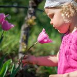 Anna und die Tulpen