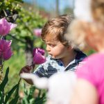 Anna und die Tulpen