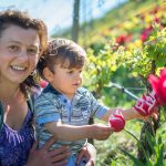 Irene, Hannes & Tulpen