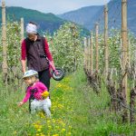 Anna mit Rad in den blühenden Weinbergen