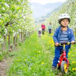 Radfahren in der Blüte