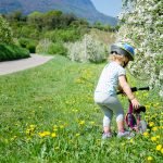 Rad fahren in der Apfelblüte