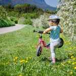 Rad fahren in der Apfelblüte