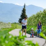 spazieren und Rad fahren in der Apfelblüte