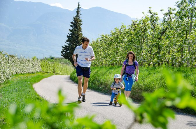 spazieren und Rad fahren durch die Apfelblüte