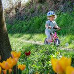 Rad fahren in der Apfelblüte