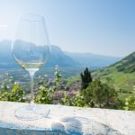 Gewürztraminer Weinwandertag Tramin