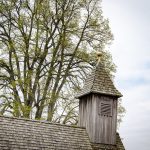 Naturdenkmal Linde Altwidum Hof