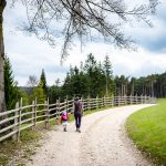 spazieren auf dem Mühlenrundweg in Aldein