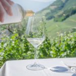 Gewürztraminer Weinwanderung Tramin