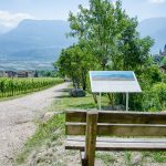 Geoweg – Gewürztraminer Weinwandertag Tramin