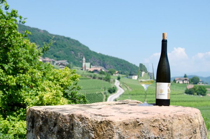 Gewürztraminer "Vigna Kolbenhof" mit Söll im Hintergrund