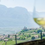 Gewürztraminer Weinwandertag Tramin