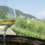 Gewürztraminer Weinwandertag Tramin