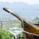 Gewürztraminer Weinwandertag Tramin