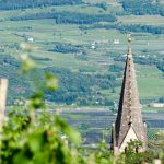 Gewürztraminer Weinwandertag Tramin