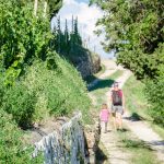 Gewürztraminer Weinwandertag Tramin