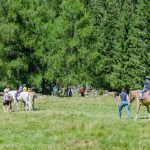 reiten auf dem Haflinger Almfest