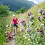 Mit dem Laufrad auf dem Ultner Höfeweg St. Nikolaus – Kuppelwies