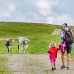 Waldbrunnenweg auf der Schwemmalm