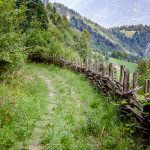 Naturzaun am Naturlehrpfad St. Pankraz