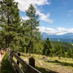 Wandern Alm Afing Blick Rosengarten