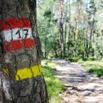 Wanderweg zum Göllersee