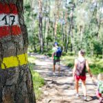 Wanderweg zum Göllersee