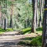 Wanderweg zum Göllersee