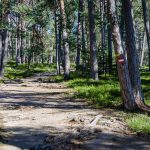 Wanderweg zum Göllersee