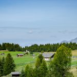 Rodenecker Alm