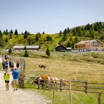 Starkenfeldhütte Rodenecker Alm