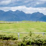 Zaun auf der Rodenecker Alm